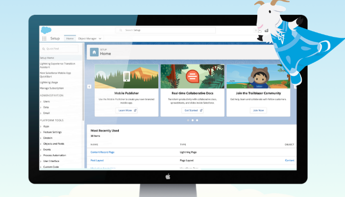 Salesforce Management